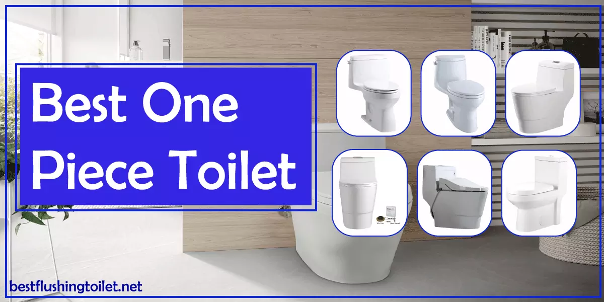 Best One Piece Toilet [2022] – Reviews and Buyer Guide